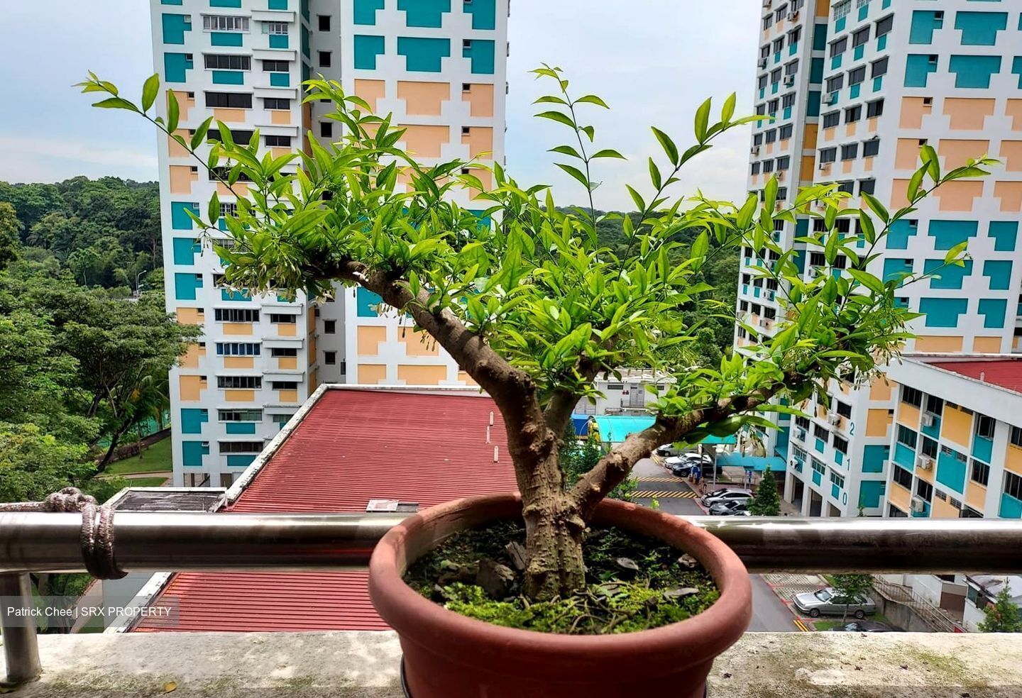 Blk 213 Petir Road (Bukit Panjang), HDB 5 Rooms #566298181